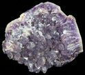 Purple Amethyst Cluster - Alacam Mine, Turkey #55372-1